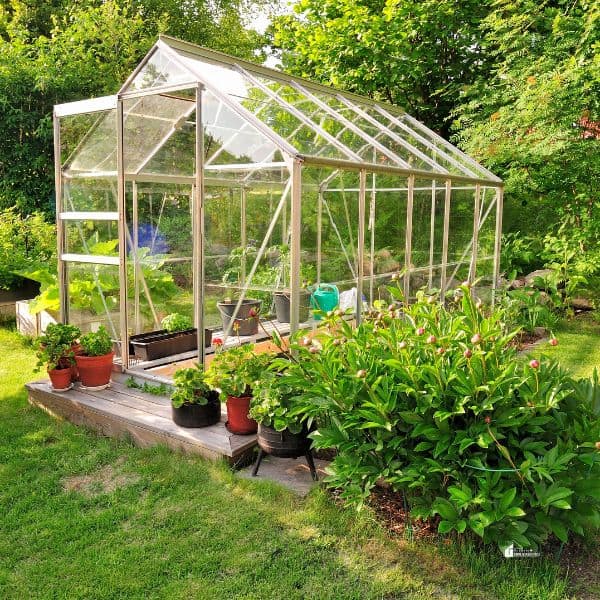 Greenhouse outdoor–What Does Every Durable Greenhouse Have