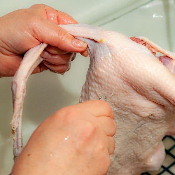Bang for Your Buck: How to Cook All Parts of a Duck