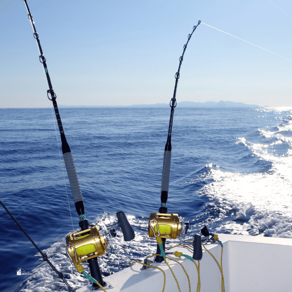 charter fishing Pole