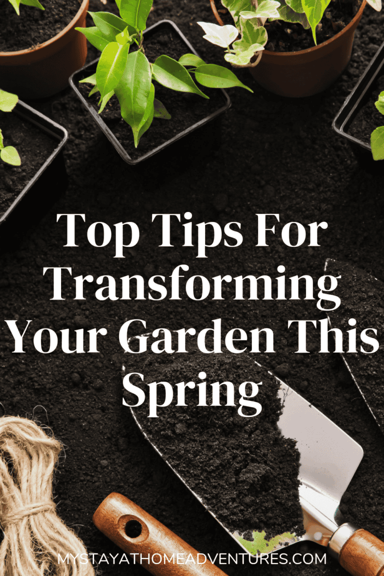 Top Tips For Transforming Your Garden This Spring * My Stay At Home ...