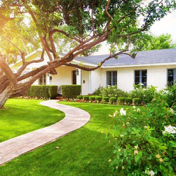 Eco-Friendly Exteriors: How to Green Your Outdoor Space