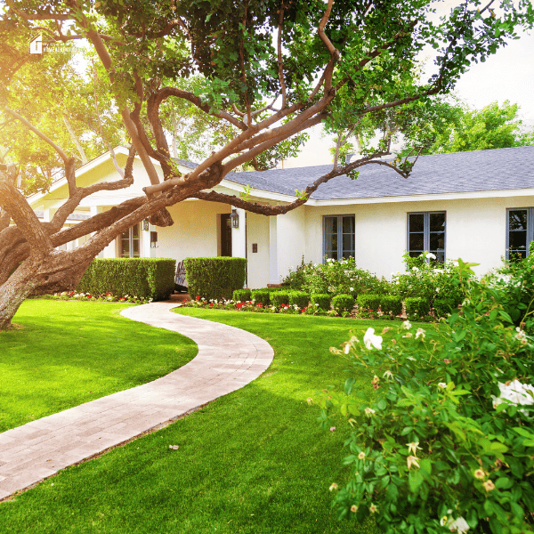 green outdoor space