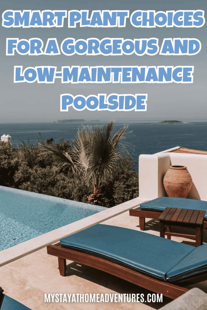 A luxurious infinity pool overlooking a scenic coastal view, framed by greenery and wooden lounge chairs.