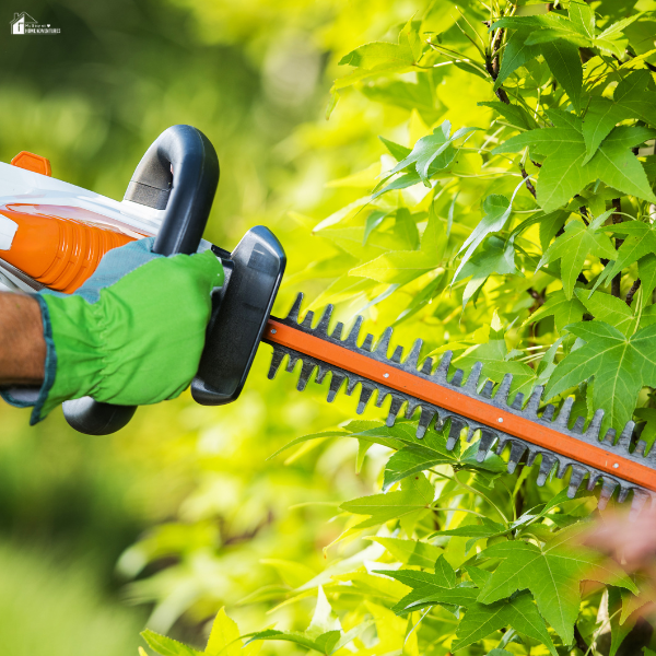 A person wearing green gloves trims thick green branches with an electric hedge trimmer.