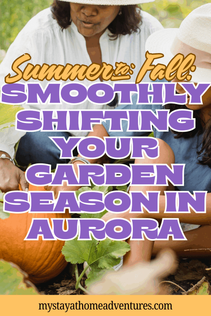 Two people in sun hats sitting in a garden with pumpkins and plants, tending to their seasonal garden.