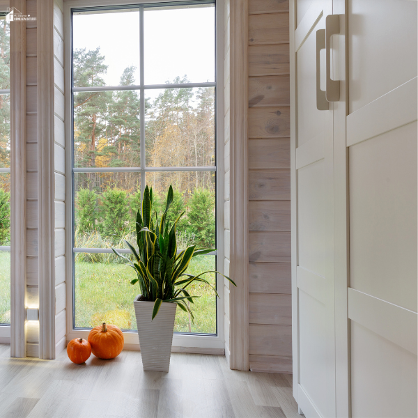 A bright interior view of a garden room featuring wood-paneled walls, a tall window, a plant, and two pumpkins on the floor.