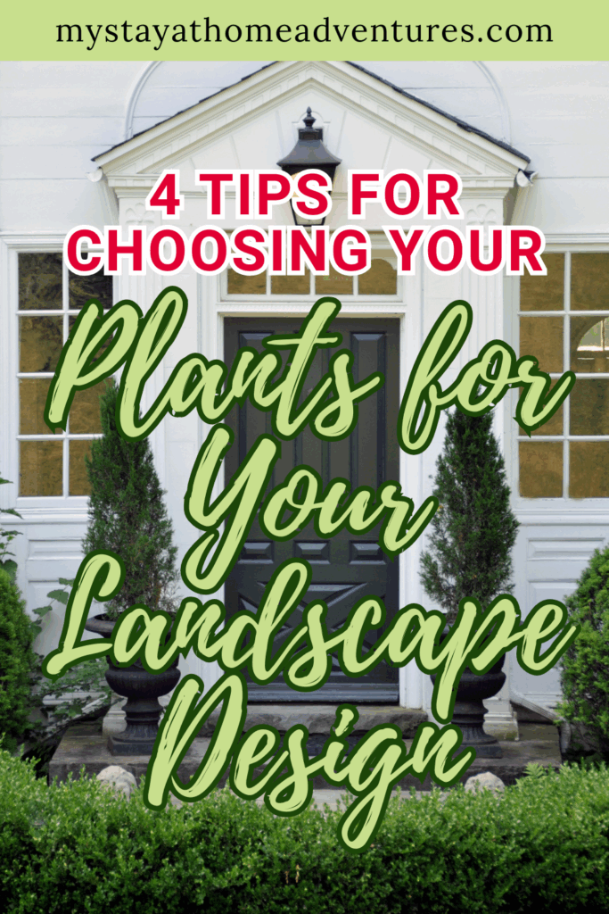 A front doorway framed by neatly trimmed hedges, tall shrubs, and potted plants enhancing the home’s landscape design.