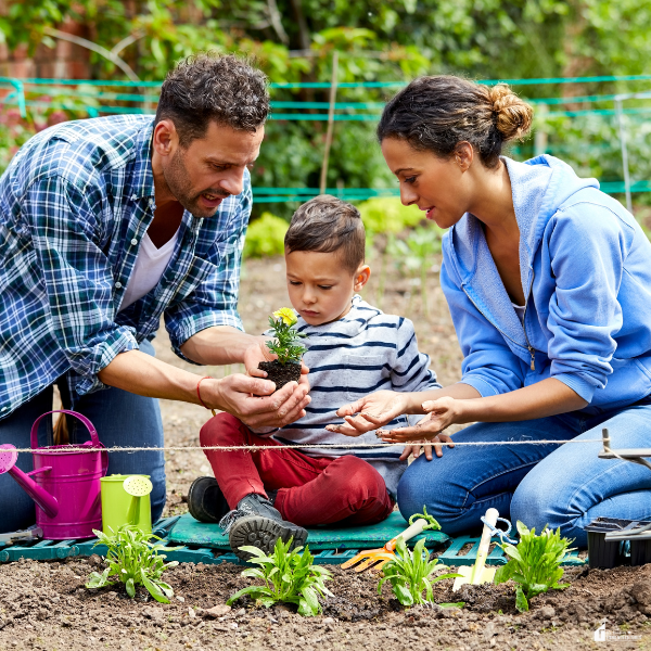 Parents and child sitting in a garden bed planting flowers together with gardening tools around them.