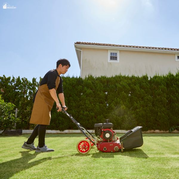A man wearing an apron is mowing a neatly trimmed lawn with a red push mower in front of a hedge and a house.