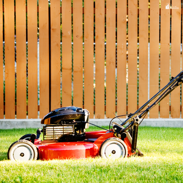 A red and black remote control lawn mower sitting on freshly cut green grass in front of a wooden privacy fence.