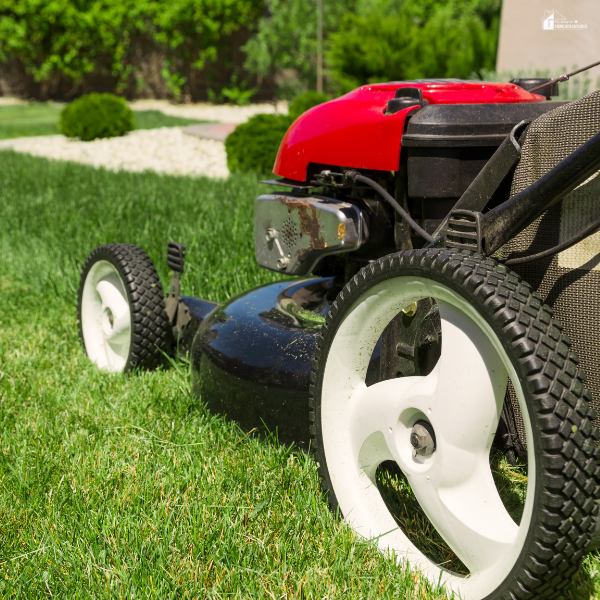 A close-up of a modern red and black remote control lawn mower on a well-maintained grassy lawn.