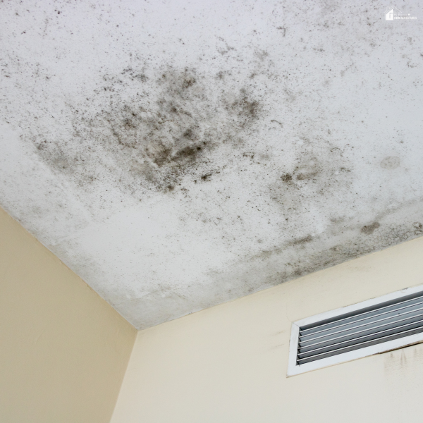 A ceiling covered in black mold stains near a vent, revealing common damage caused by flooding and excess moisture.