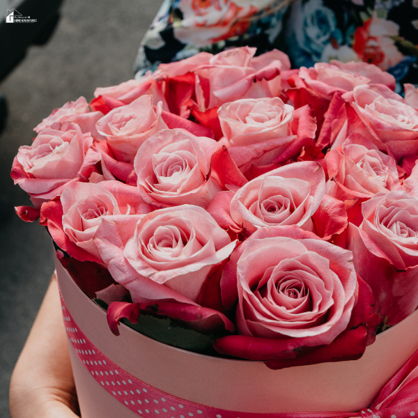 Elegant pink roses arranged in a gift box, offering a simple and beautiful option for picking Valentine’s flowers without the stress.