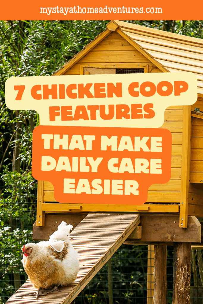 A fluffy white hen walks down a ramp from a wooden chicken coop surrounded by greenery, showing ease of daily use.