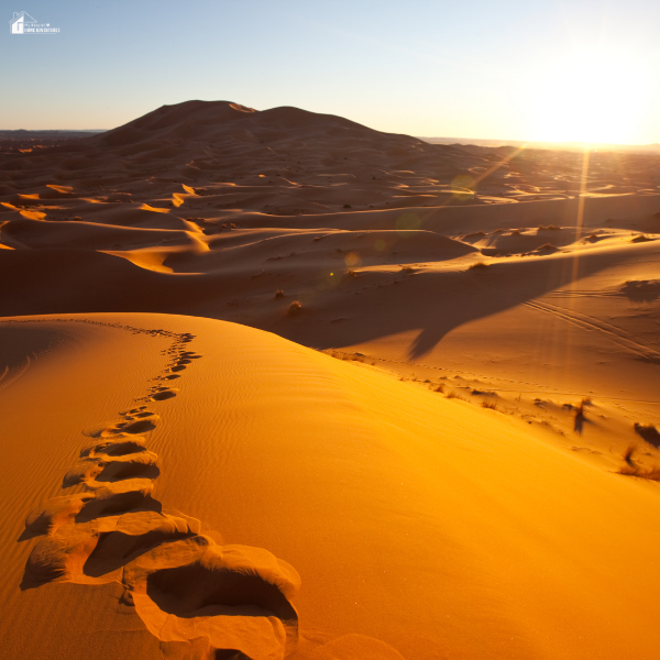 Golden dunes and footprints at sunset highlight the natural beauty found on a trusted desert safari in Dubai.