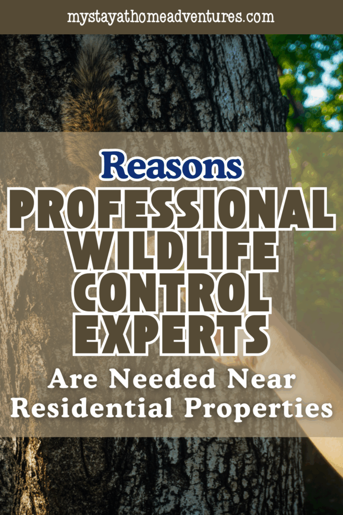 A close-up of a squirrel climbing a tree trunk in a suburban area, highlighting the presence of wildlife around residential properties.
