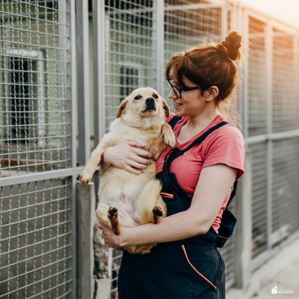 A woman at an animal shelter lovingly holds a small rescue dog, highlighting the bond formed through pet adoption.
