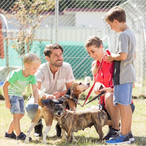 A smiling family interacts with several dogs at a pet adoption center, showing the joy of choosing a new furry companion.