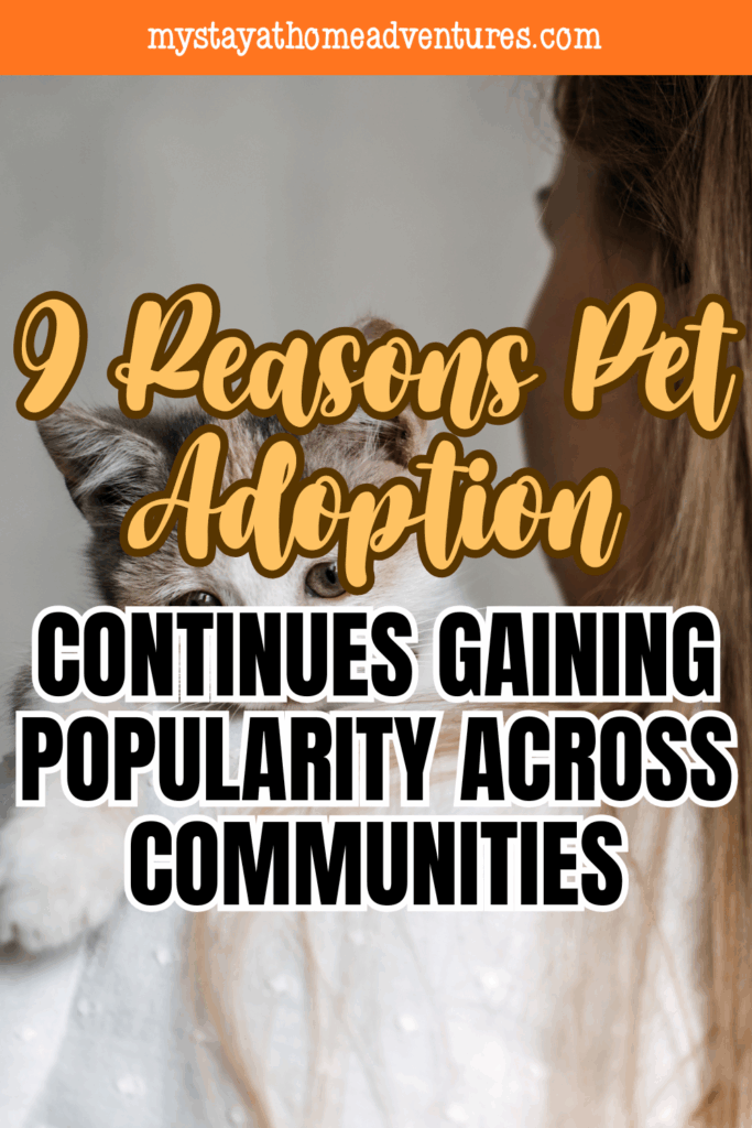 A close-up of a cat peeking over a woman’s shoulder, capturing the comfort and connection found in adopted pets.