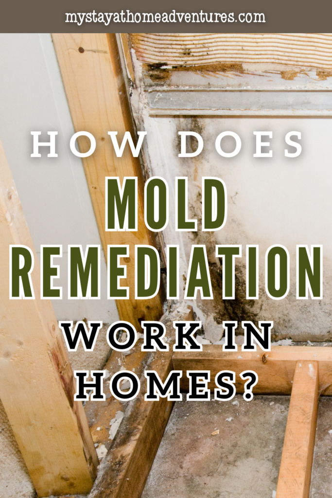 Exposed wall framing and baseboards showing extensive mold damage during a home restoration project.