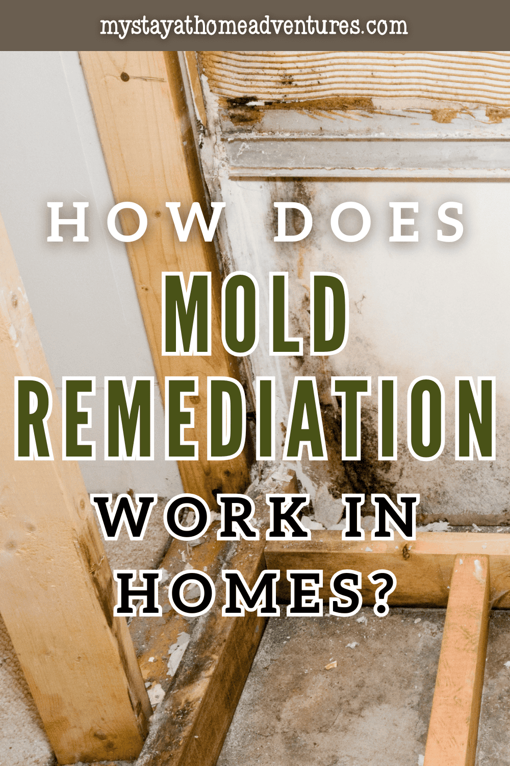 How Does Mold Remediation Work in Homes? * My Stay At Home Adventures