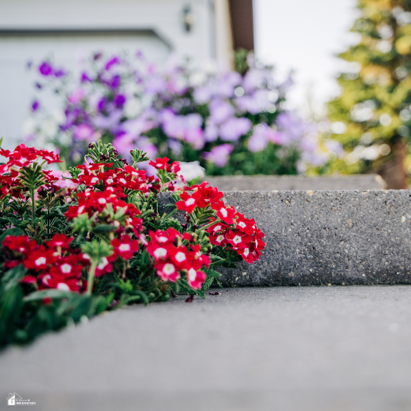 Bright seasonal flowers planted along a sidewalk edge demonstrating low-cost landscaping ideas to enhance curb appeal affordably.