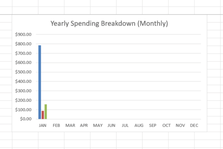 Bar chart showing January grocery, household, and personal care spending totals in a monthly budget breakdown for real-life family grocery tracking.