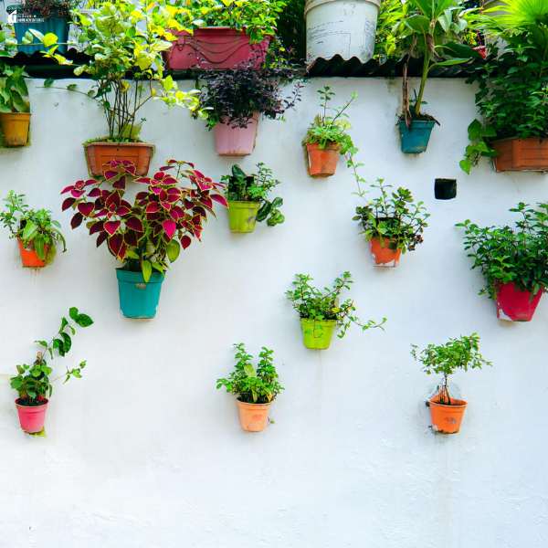 Vertical garden with multiple potted plants mounted on a wall, showcasing a creative living wall for small space greenery.