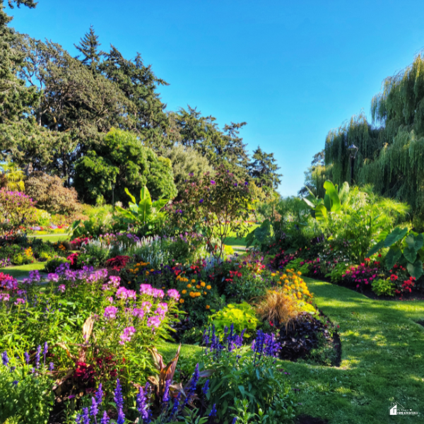 Well-planned backyard landscape with colorful flowers, shrubs, and trees arranged to create a beautiful and budget-friendly garden design.