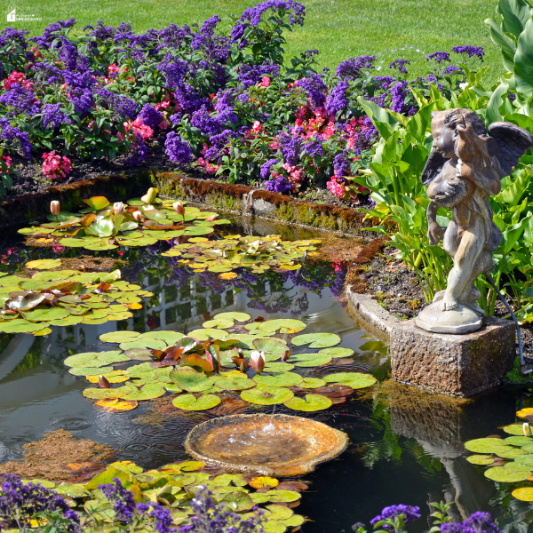 Garden pond with clear water, lily pads, flowers, and decorative statue, showing a clean and well-maintained outdoor water feature.