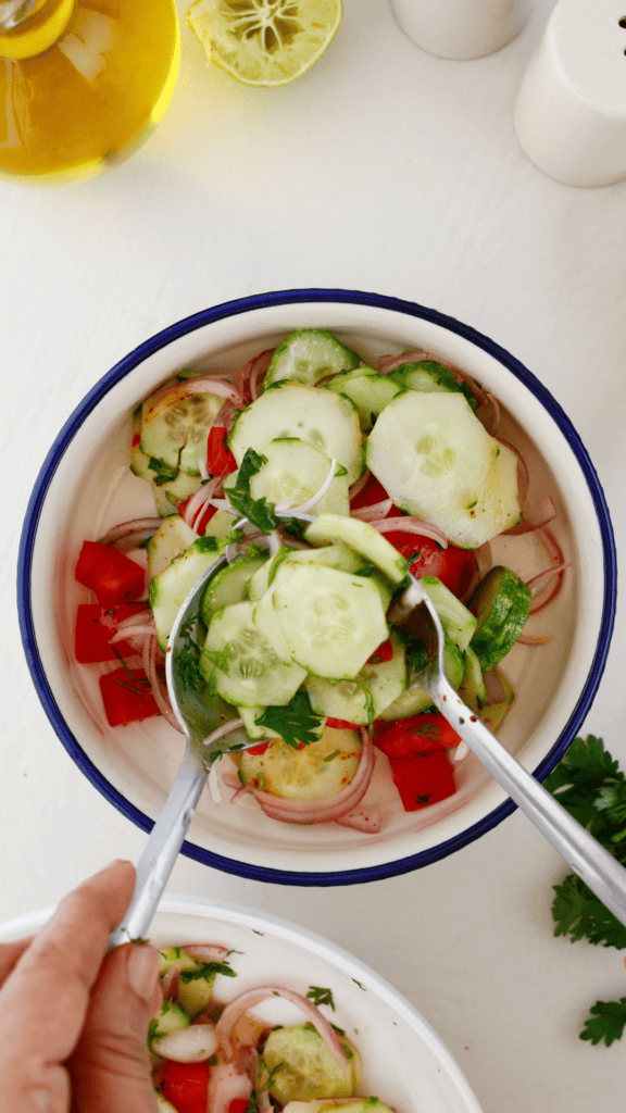 Overhead view of Ensalada de Pepino cucumber salad with sliced cucumbers, tomatoes, red onion, cilantro, and lime dressing in a bowl.