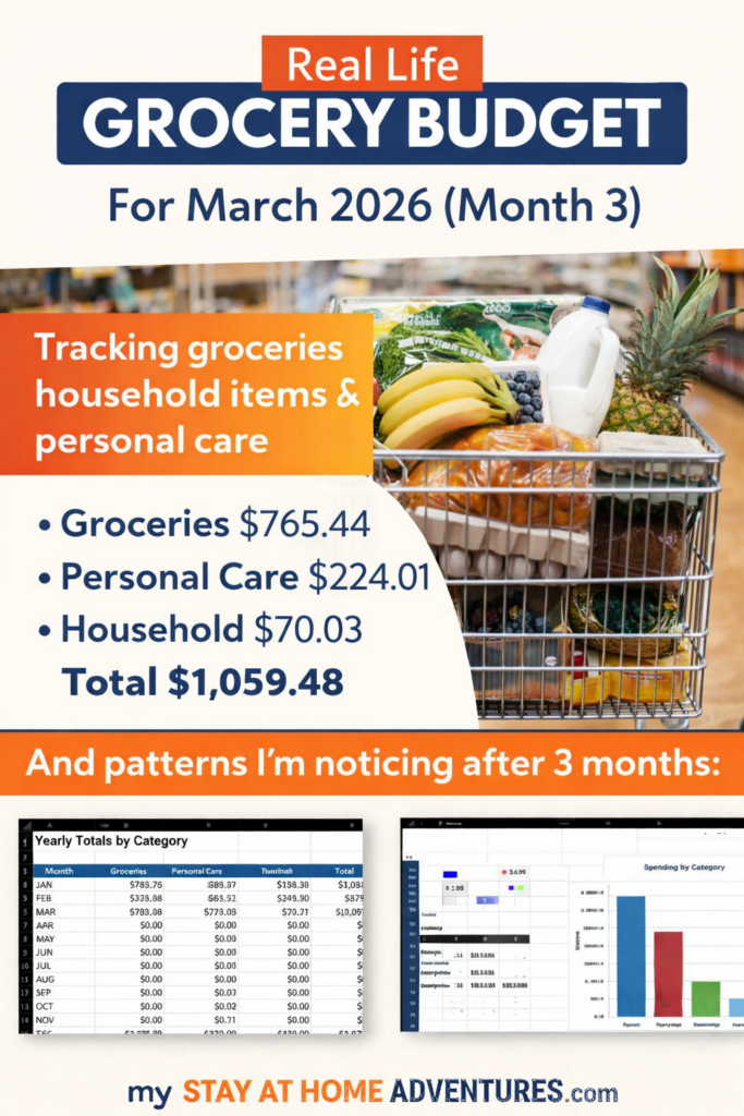 Monthly grocery budget graphic for March 2026 showing grocery, personal care, and household spending totals with a shopping cart image and small charts summarizing spending trends.