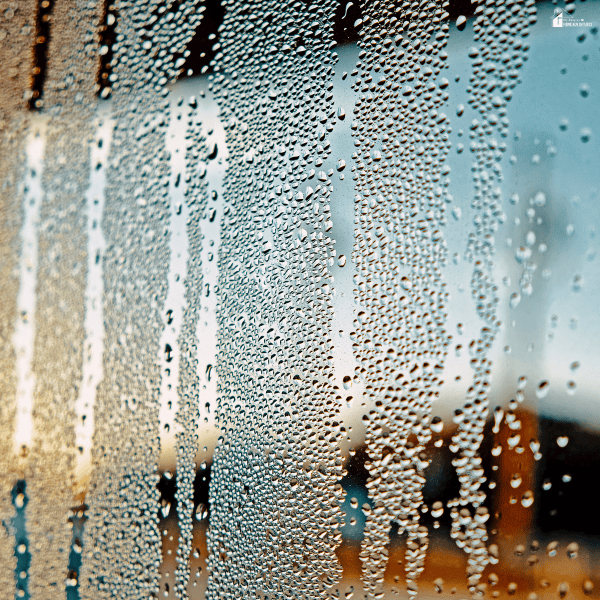 Water condensation covering a glass window surface showing possible insulation and energy efficiency problems.