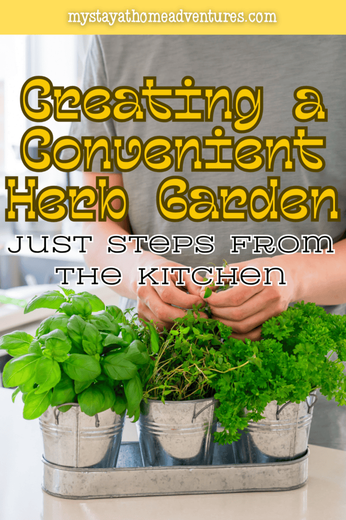 Fresh kitchen herbs in metal containers on a countertop for a convenient indoor herb garden setup near the cooking area.