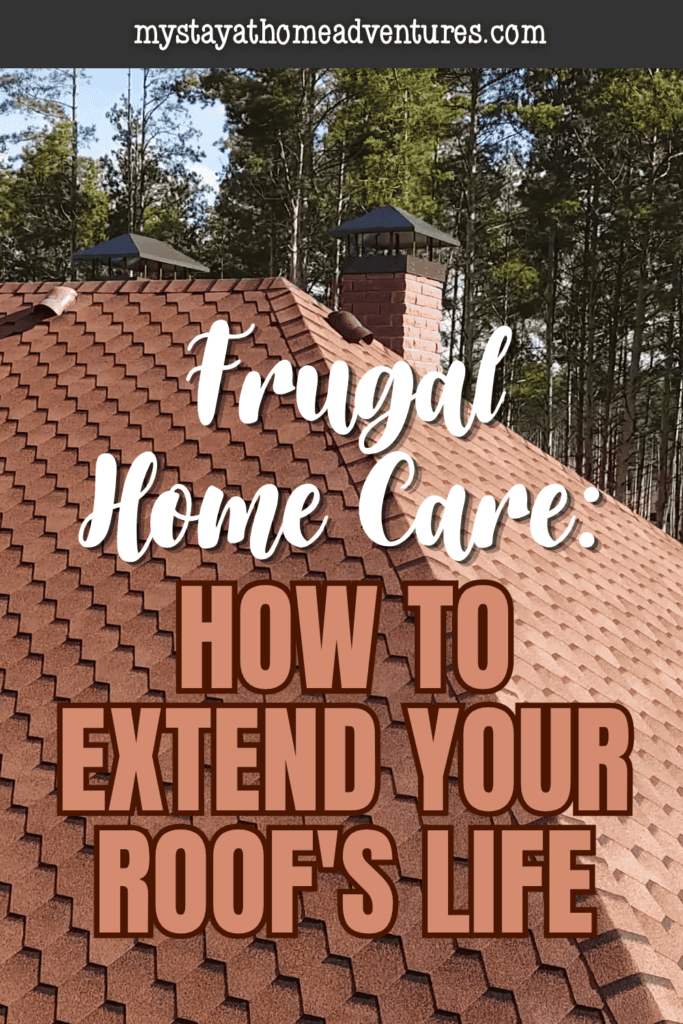 Residential shingle roof surrounded by trees, highlighting affordable roof maintenance tips to help protect and extend the life of a home's roof.