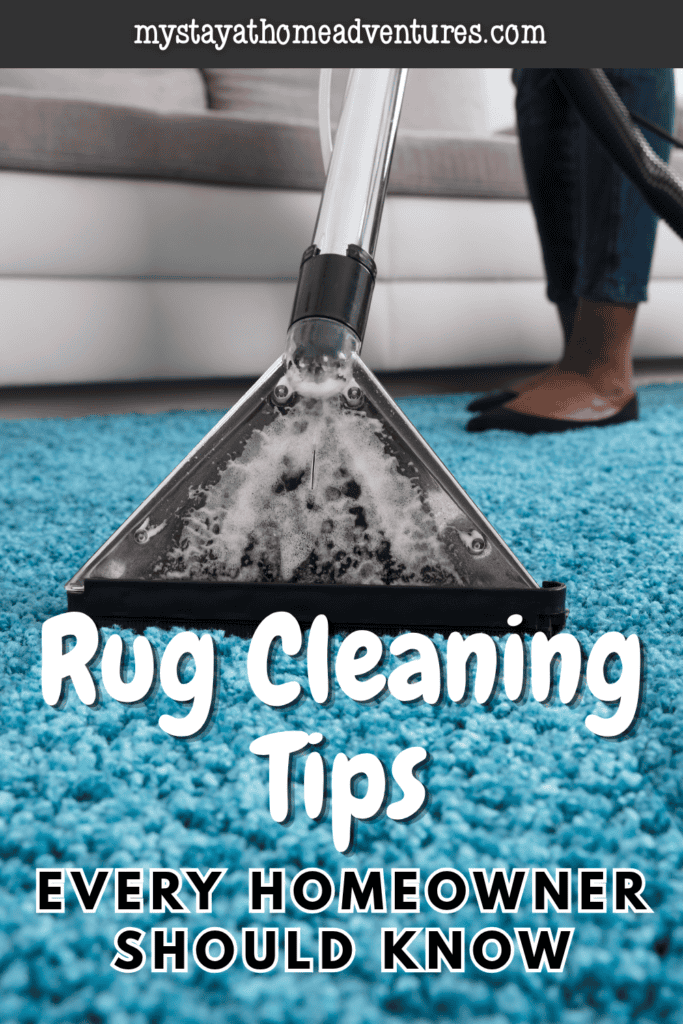 Carpet cleaning vacuum extracting dirt and foam from a blue rug in a living room, representing deep rug cleaning and home maintenance.