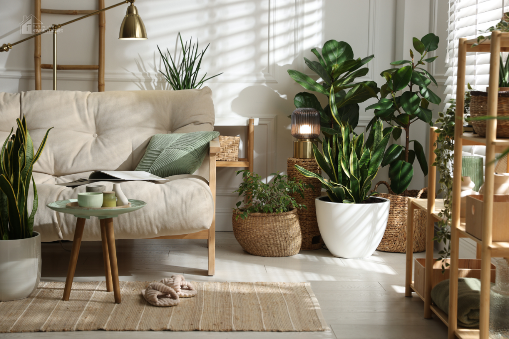 Bright cozy living room with plants, soft sofa, natural light, and simple decor creating a functional and organized space for everyday family life