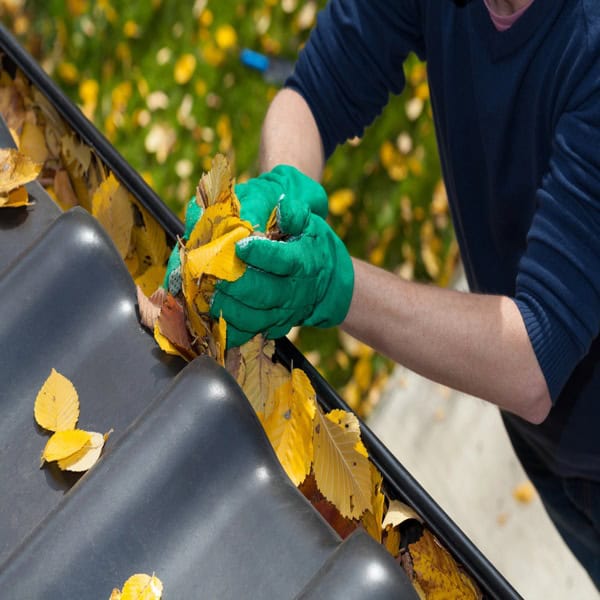 Person clearing leaves from roof gutters to help maintain a comfortable and well-functioning home throughout the seasons.