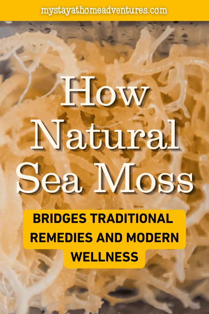 Prepared sea moss gel with a smooth texture, commonly used in wellness routines and natural nutrition-focused lifestyles.