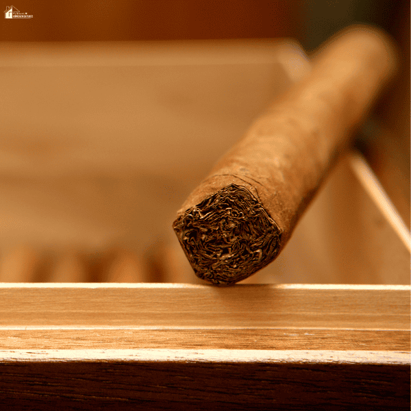 Close-up of a cigar resting inside a wooden humidor designed to regulate humidity and protect cigar freshness over time.