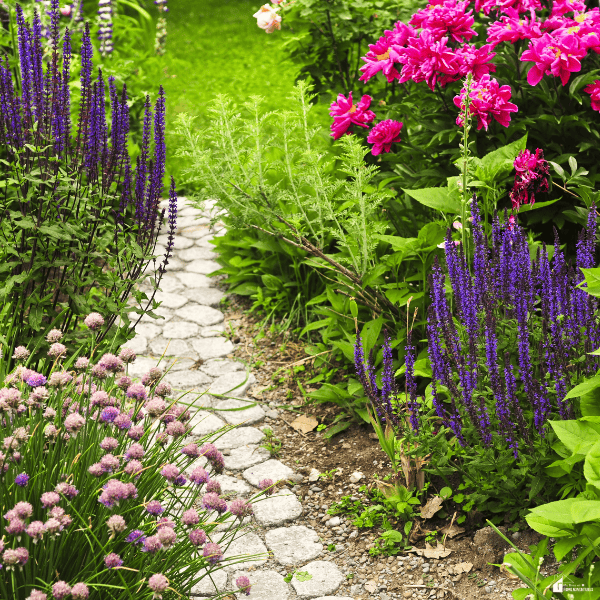 Flowering borders and a winding stone walkway showing how to landscape a bare new build with color and structure.