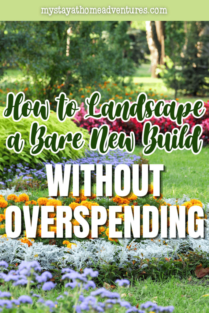 Vibrant flower beds and layered planting areas demonstrating ways to landscape a bare new build on a budget.