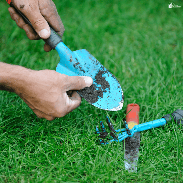 Close-up of garden tools being cleaned after use, showing soil removal and routine maintenance to keep gardening equipment in good condition.