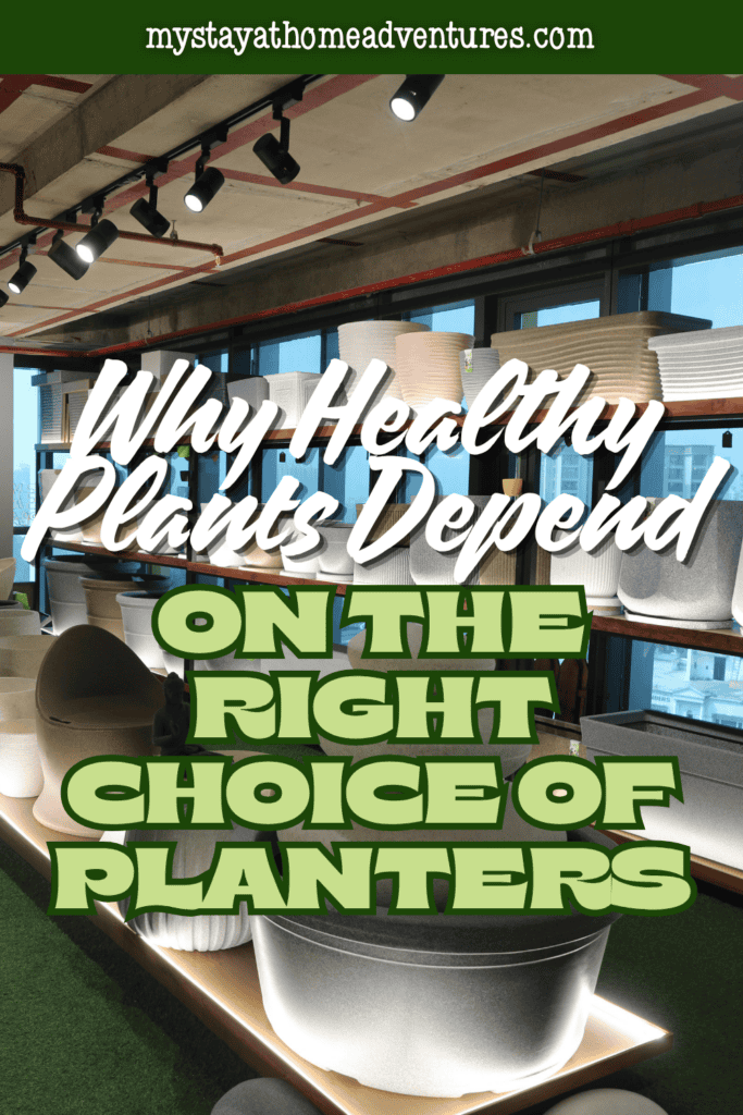 Large assortment of modern planters displayed in a showroom, showcasing options for supporting healthy plant growth indoors and outdoors.