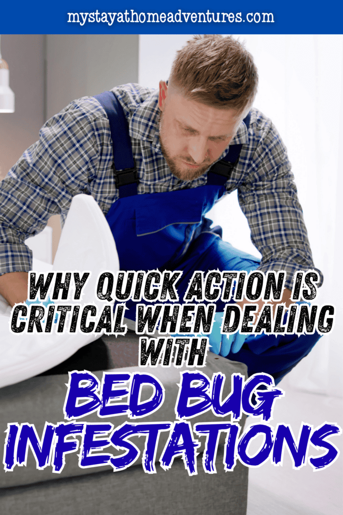 Professional pest control specialist examining bedding and furniture for evidence of bed bugs before treatment begins.
