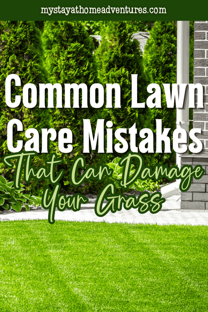 Green residential lawn and landscaping, highlighting lawn care practices that affect grass health, growth, and long-term appearance.