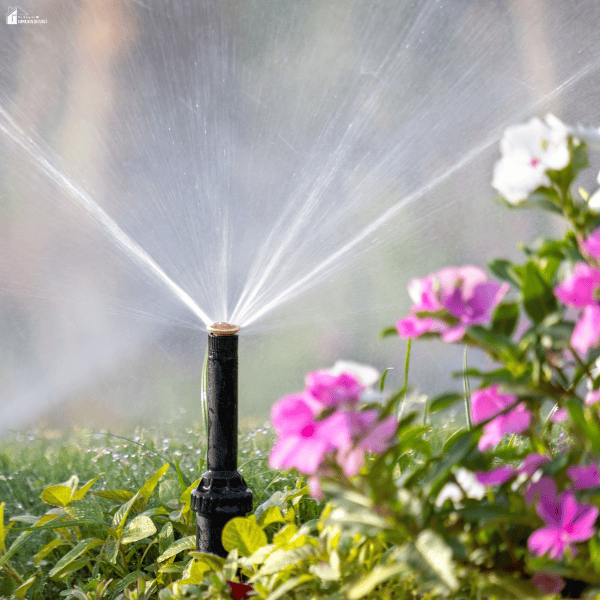 Close-up of a lawn sprinkler watering garden plants, illustrating efficient irrigation practices that support healthy landscaping while conserving water.