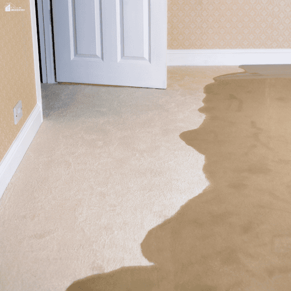 Water-soaked carpet spreading from a doorway highlights the need for affordable home water damage cleanup and moisture control.