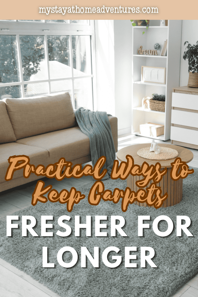 A bright living room with a soft carpet and tidy furnishings highlights simple habits that help carpets stay clean and fresh for longer.
