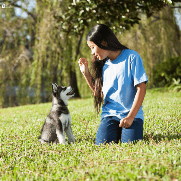 Young woman training a husky puppy outdoors with a hand signal, demonstrating focused one-on-one puppy obedience training.